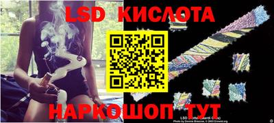 крисы Ирбит