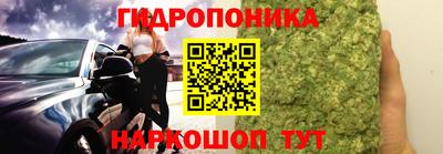 крисы Ирбит