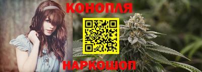 крисы Ирбит