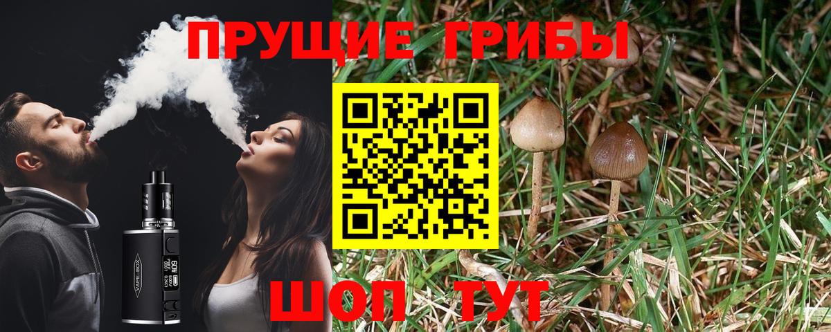 Галлюциногенные грибы Psilocybine cubensis Югорск