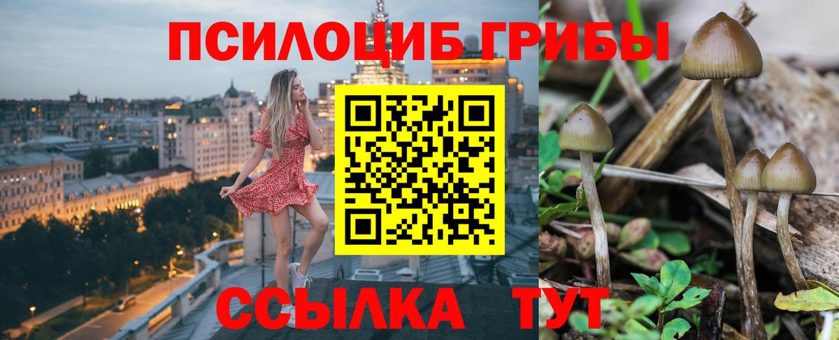 Галлюциногенные грибы Psilocybe  даркнет сайт  Югорск  Вход с VPN  Галлюциногенные грибы Magic Shrooms 